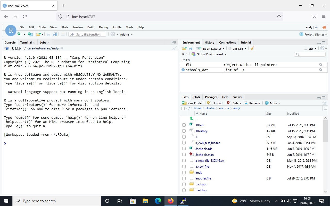 the RStudio server main page