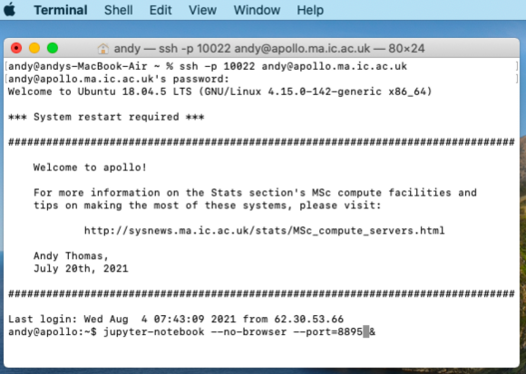 starting Jupyter Notebook on apollo